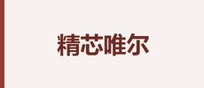 精芯唯尔(常州)电子科技有限公司